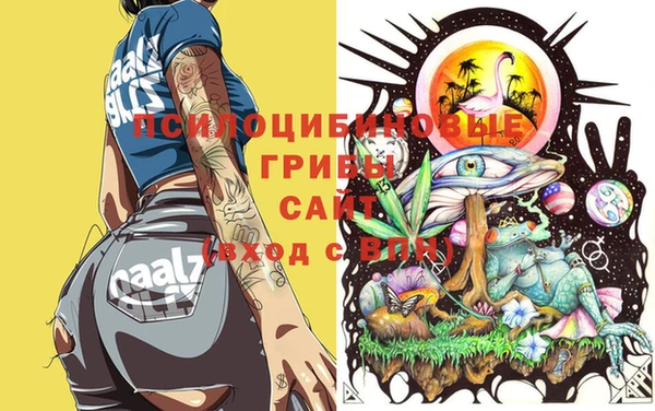 а пвп мука Бородино