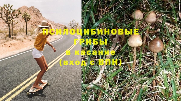 сатива Володарск