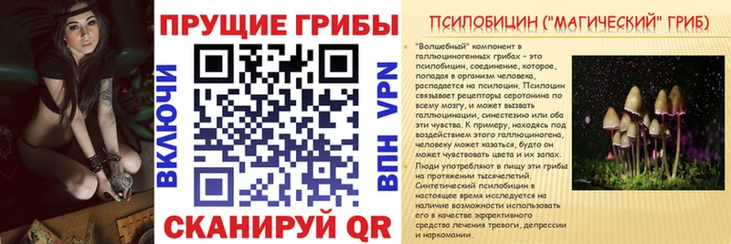 Псилоцибиновые грибы MAGIC MUSHROOMS  Дрезна 